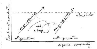 complexity_organic_functional.jpg